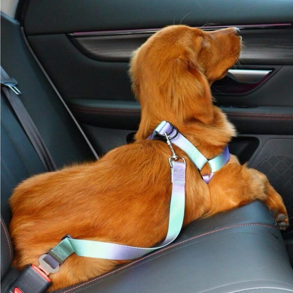 PET SEATBELT - Picture 2 of 11